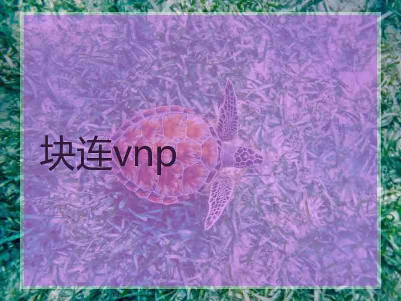 块连vnp