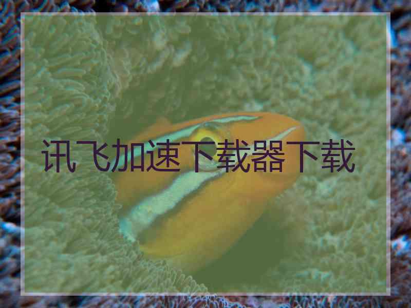 讯飞加速下载器下载