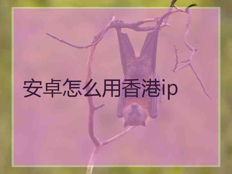 安卓怎么用香港ip