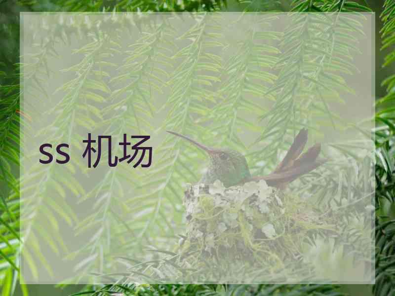 ss 机场