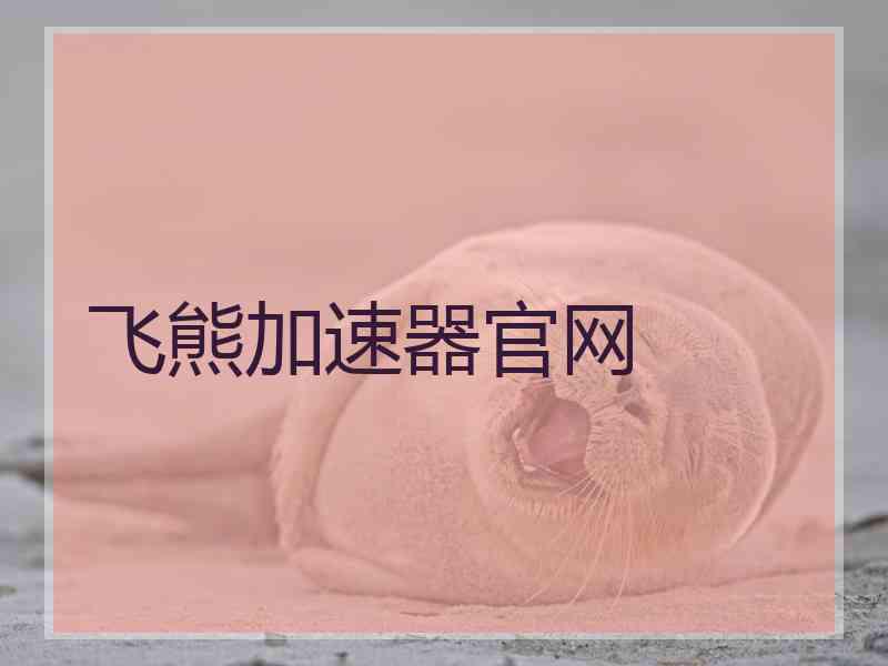飞熊加速器官网