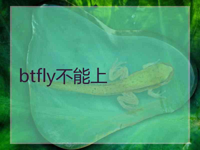 btfly不能上