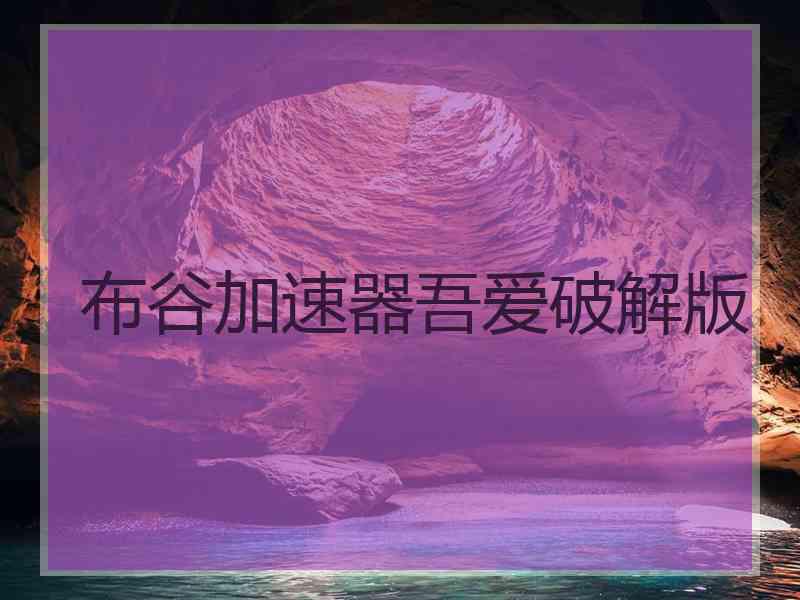 布谷加速器吾爱破解版