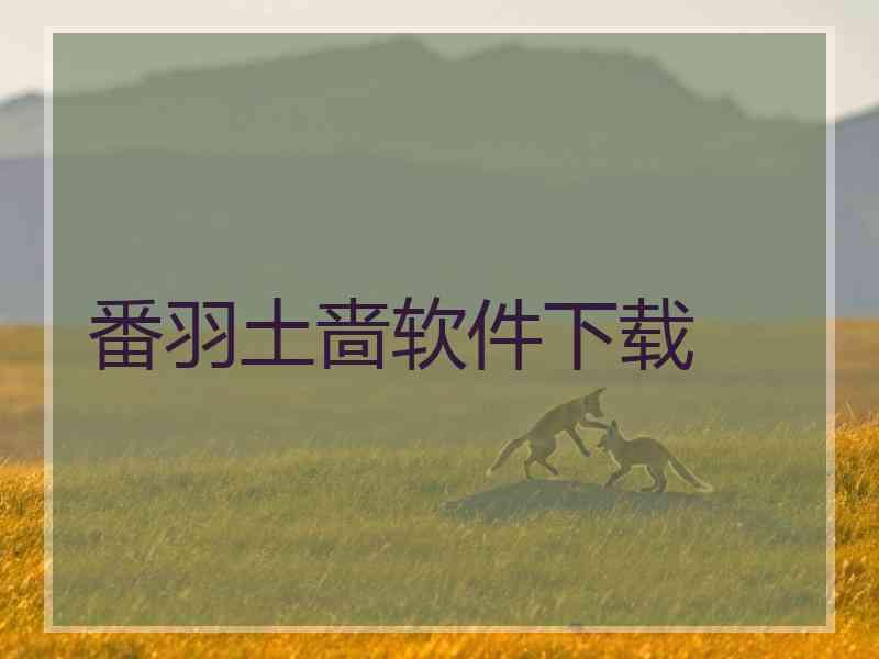 番羽土啬软件下载