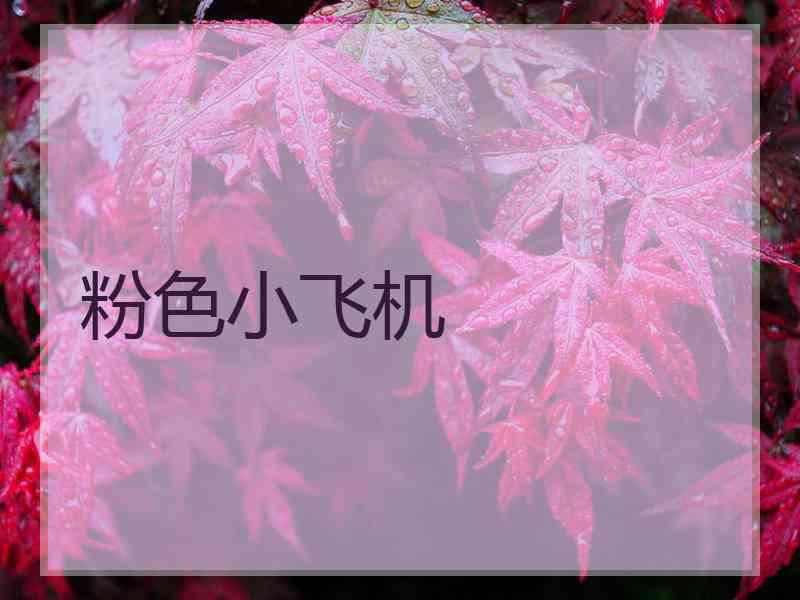粉色小飞机
