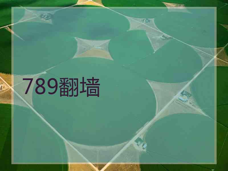 789翻墙