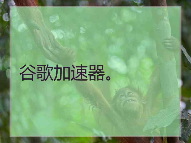 谷歌加速器。