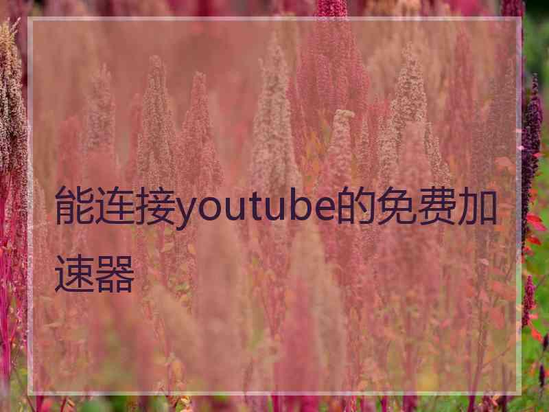 能连接youtube的免费加速器