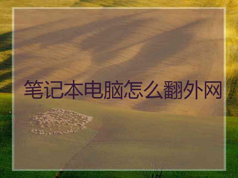 笔记本电脑怎么翻外网