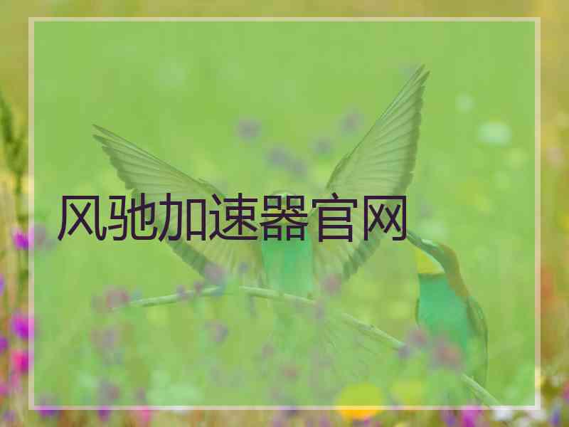 风驰加速器官网