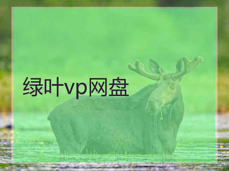绿叶vp网盘