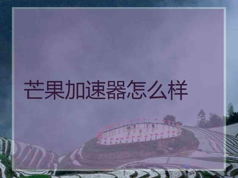 芒果加速器怎么样