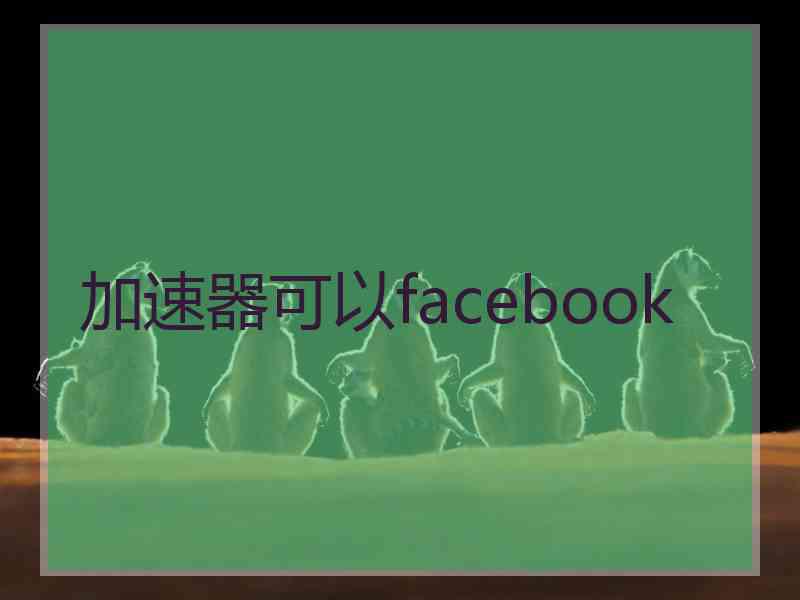 加速器可以facebook
