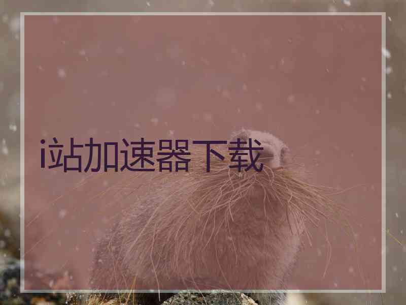 i站加速器下载