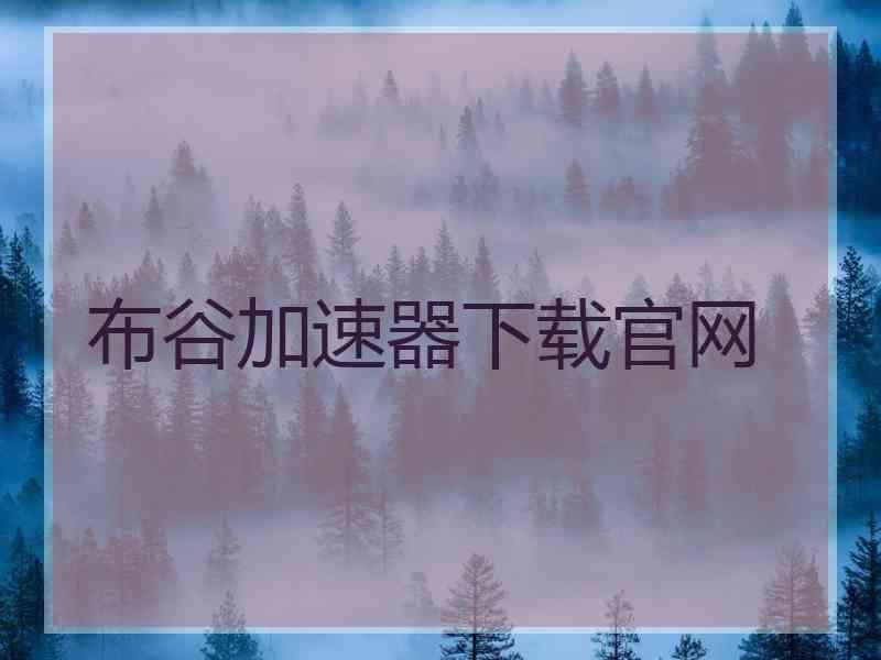 布谷加速器下载官网