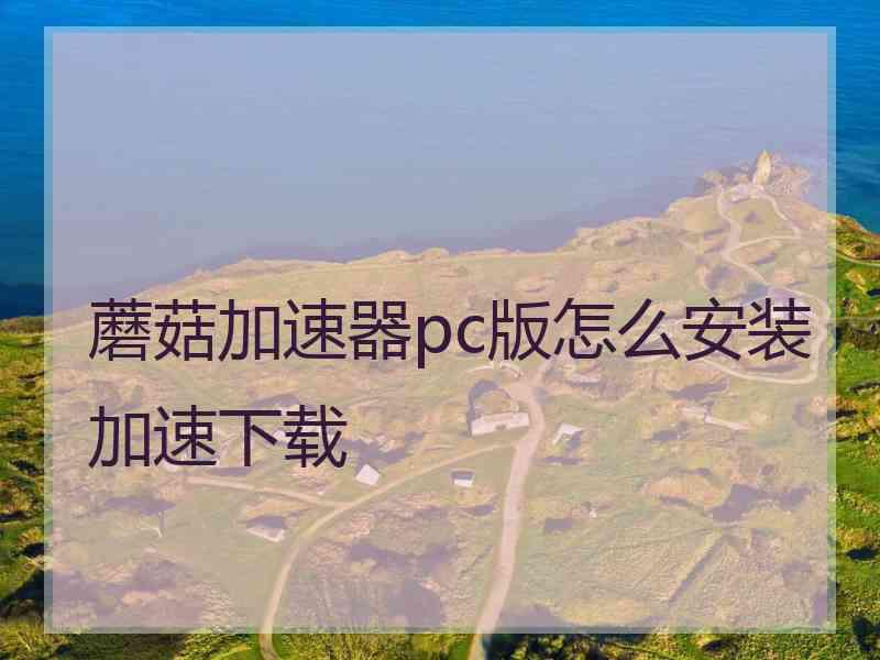 蘑菇加速器pc版怎么安装加速下载