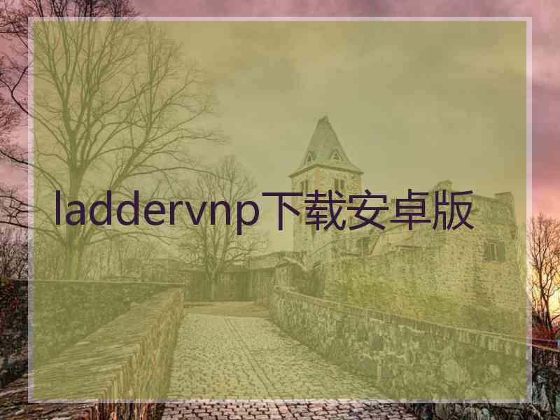 laddervnp下载安卓版