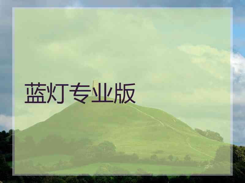 蓝灯专业版