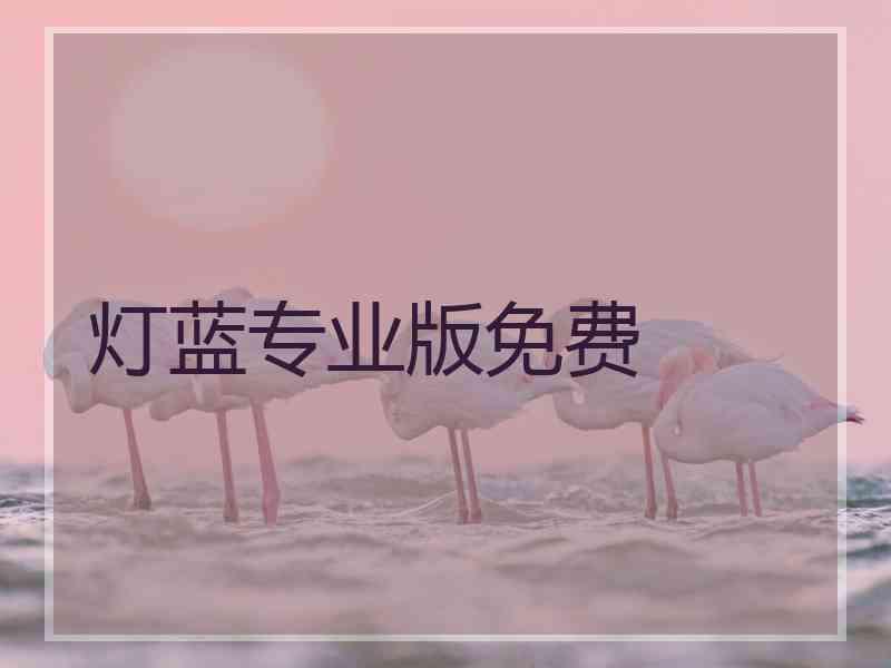灯蓝专业版免费