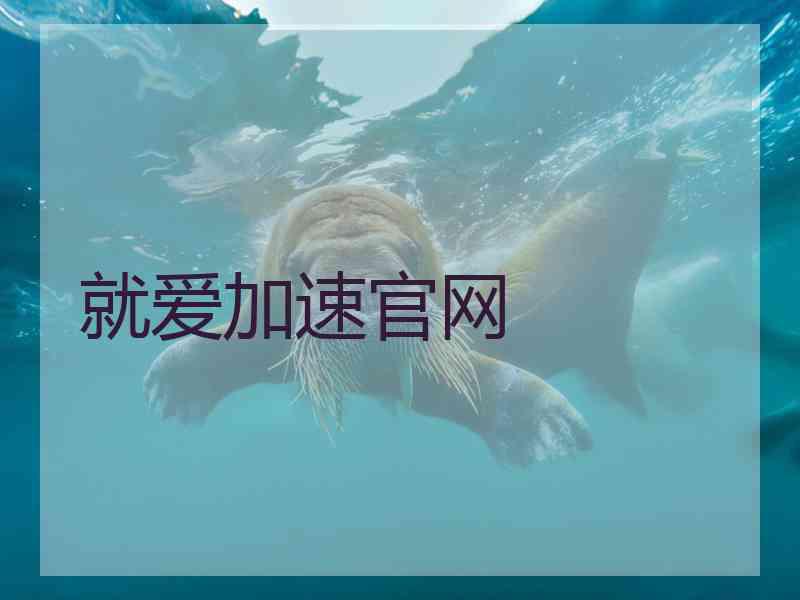 就爱加速官网