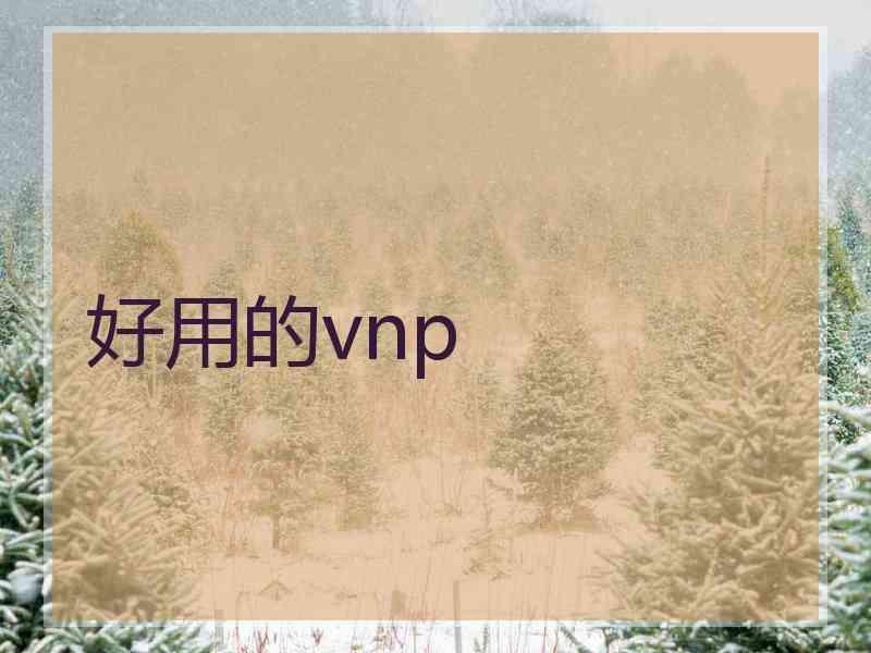 好用的vnp