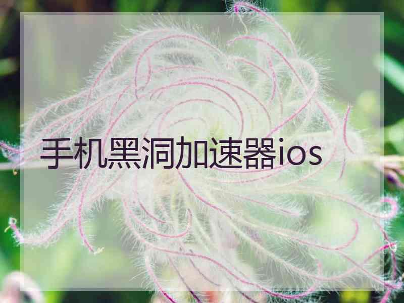 手机黑洞加速器ios