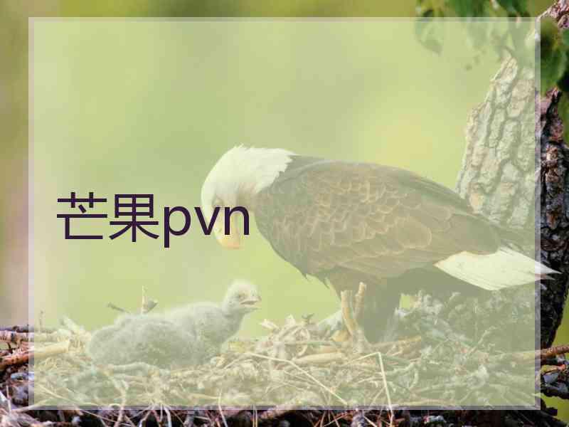 芒果pvn