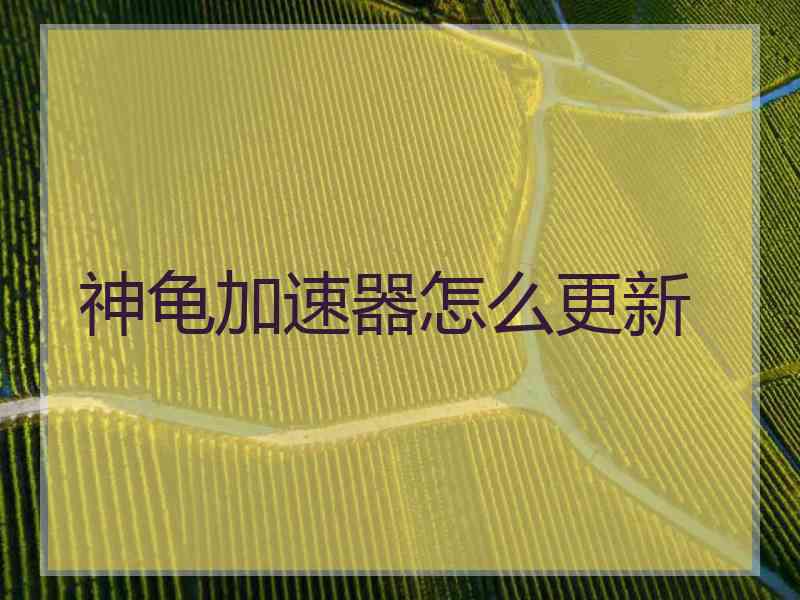 神龟加速器怎么更新
