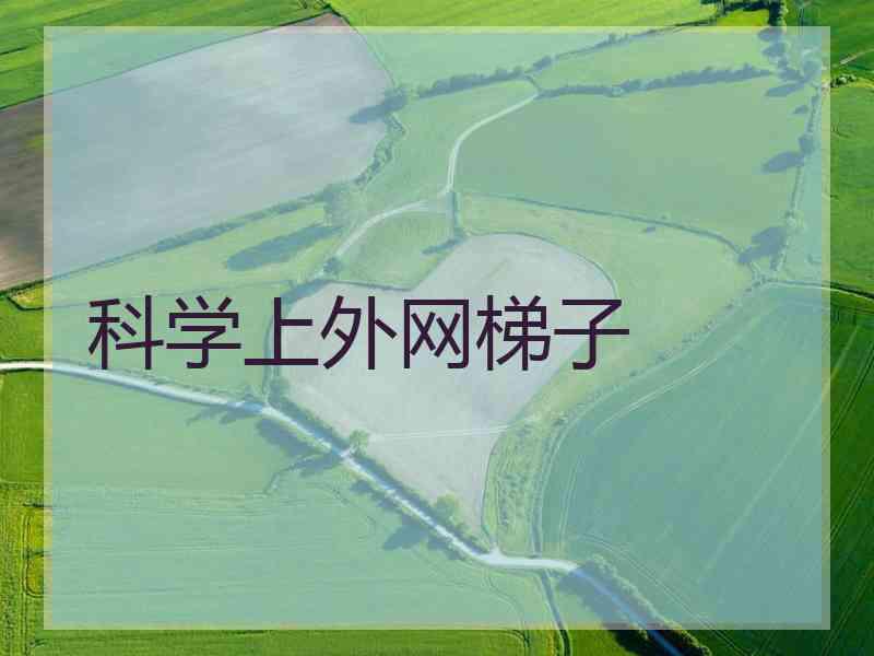 科学上外网梯子