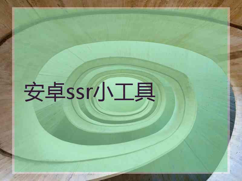 安卓ssr小工具