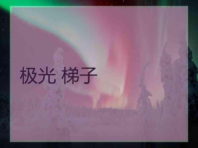 极光 梯子