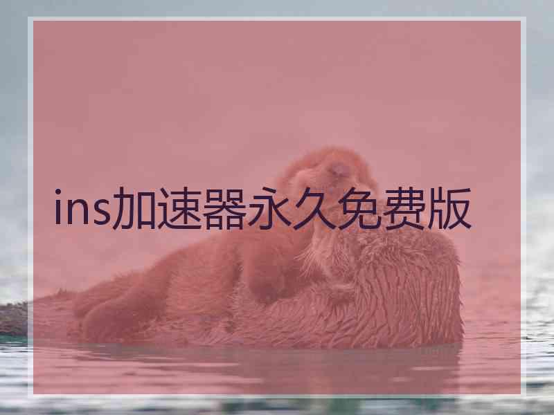 ins加速器永久免费版