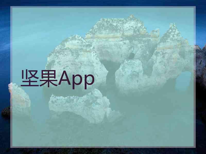 坚果App