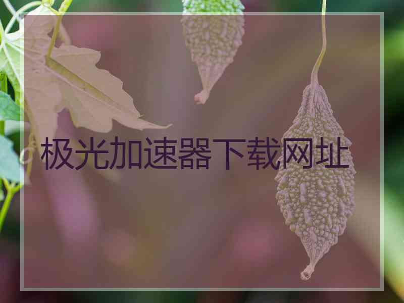 极光加速器下载网址
