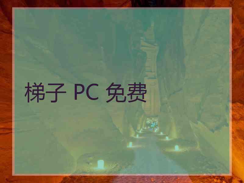 梯子 PC 免费