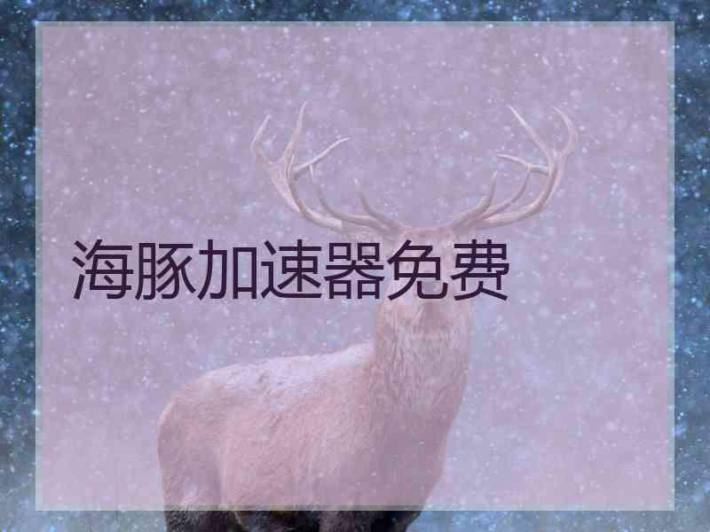 海豚加速器免费
