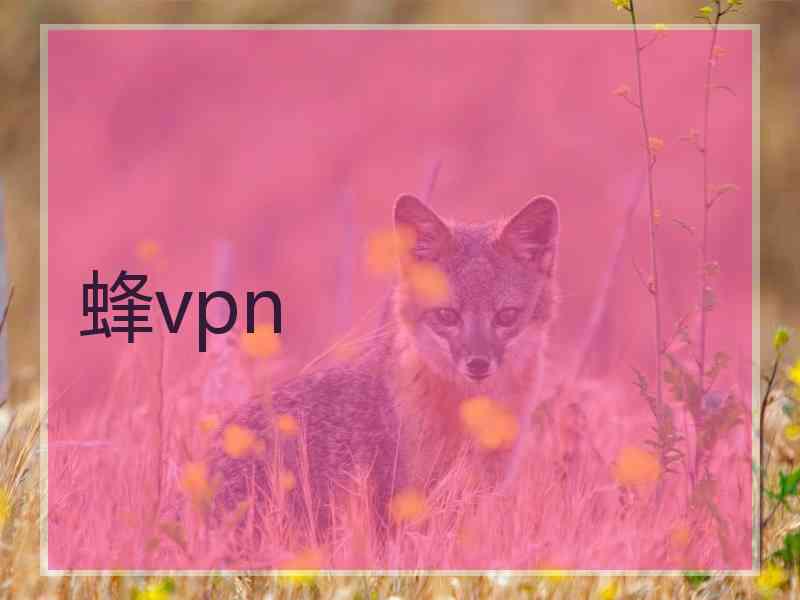 蜂vpn