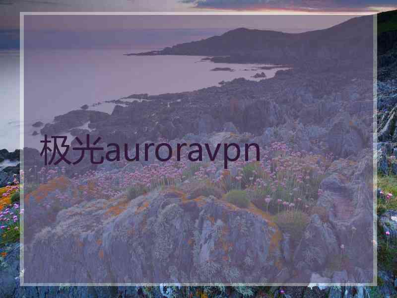 极光auroravpn