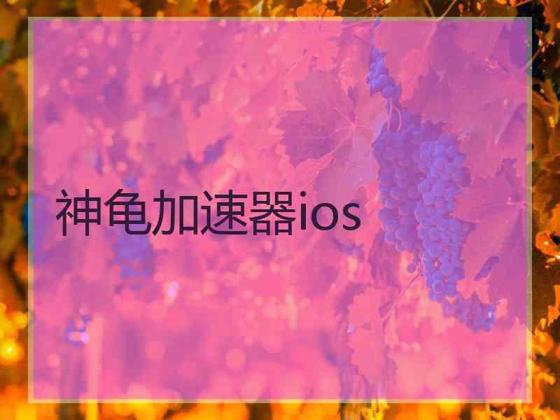 神龟加速器ios