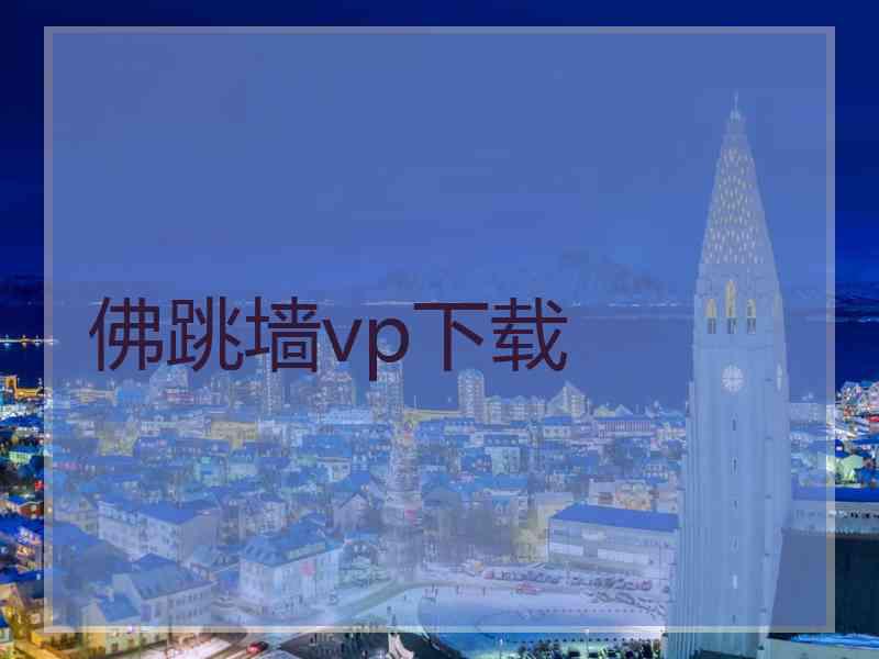 佛跳墙vp下载