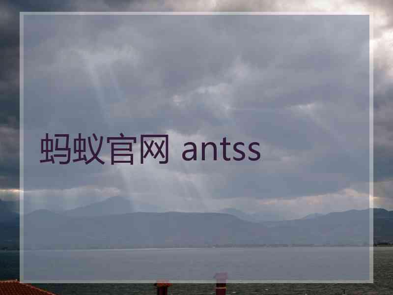 蚂蚁官网 antss