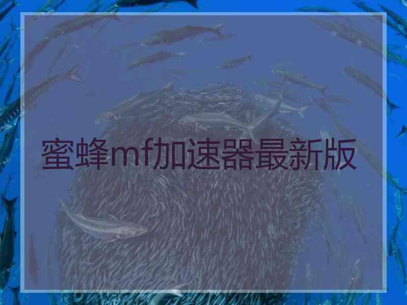 蜜蜂mf加速器最新版