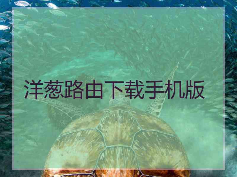 洋葱路由下载手机版