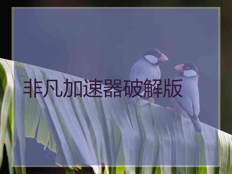 非凡加速器破解版