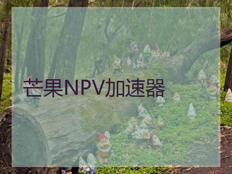 芒果NPV加速器