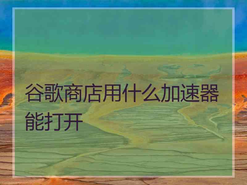 谷歌商店用什么加速器能打开