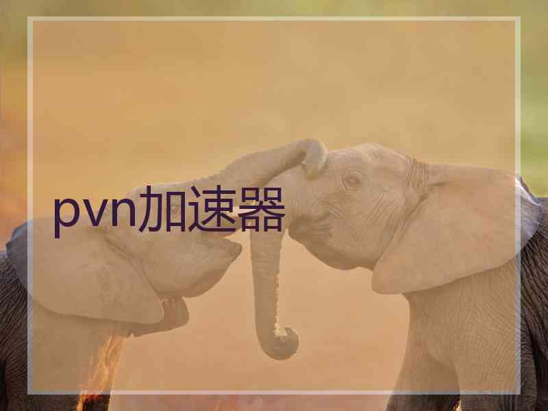 pvn加速器