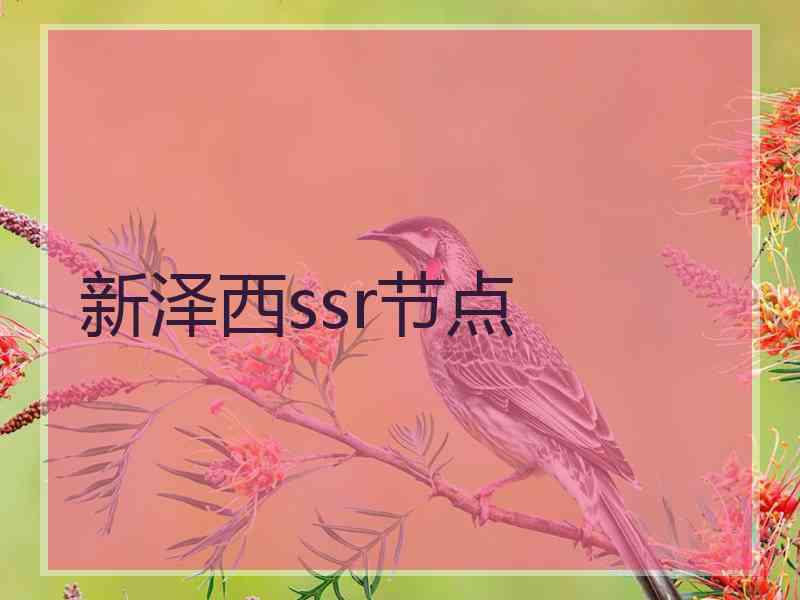 新泽西ssr节点