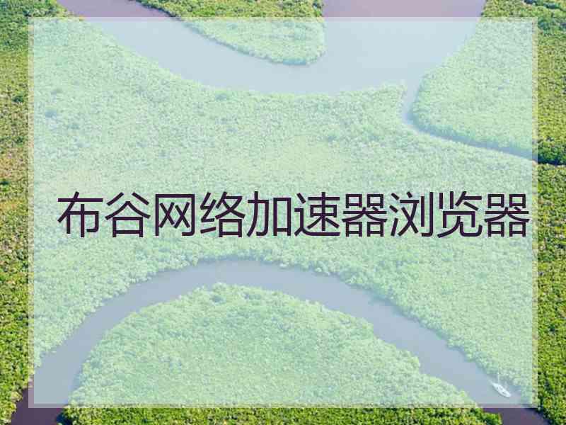 布谷网络加速器浏览器