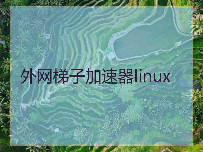 外网梯子加速器linux
